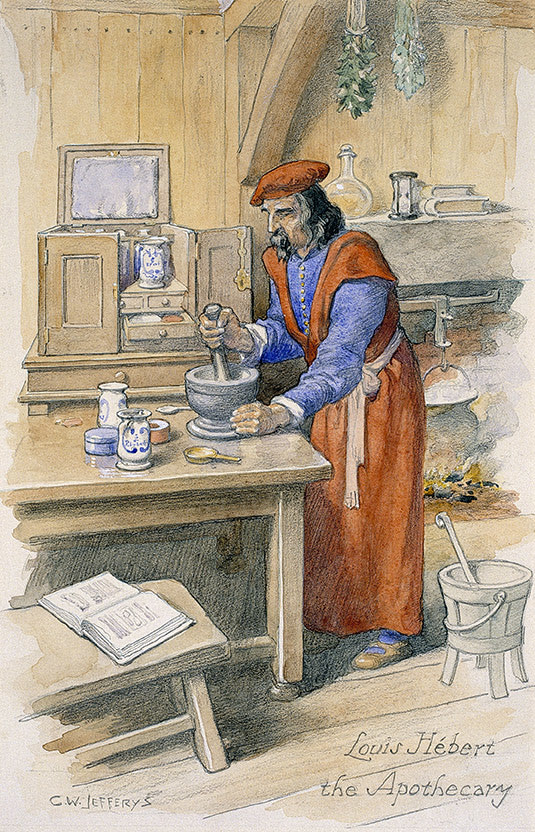 Aquarelle montrant Louis Hébert, coiffé d'un bonnet rouge et vêtu d'un tablier, broyant des remèdes au mortier